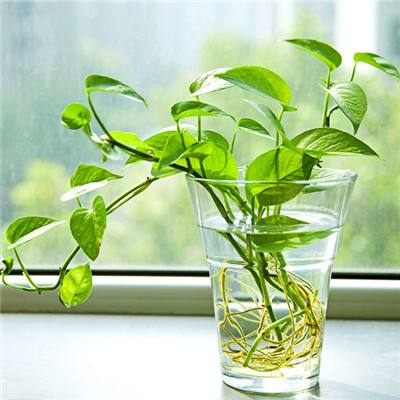 大众彩票入口welcome